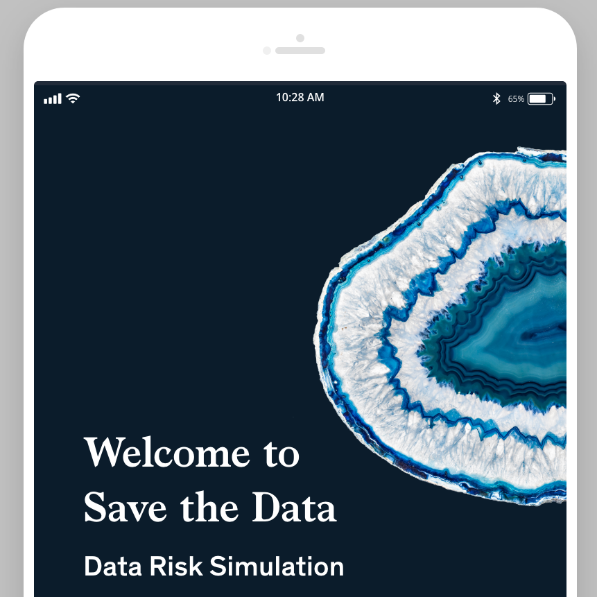 Data Risk Competition UI/UX Design